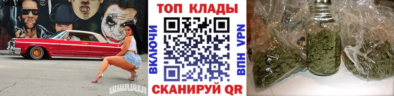 Где продают наркотики Кудрово Канабис  Alpha-PVP  ГАШ  Амфетамин  МЕТАДОН  COCAIN  Галлюциногенные грибы 