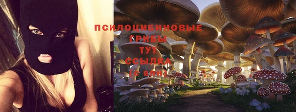 a pvp Алексин